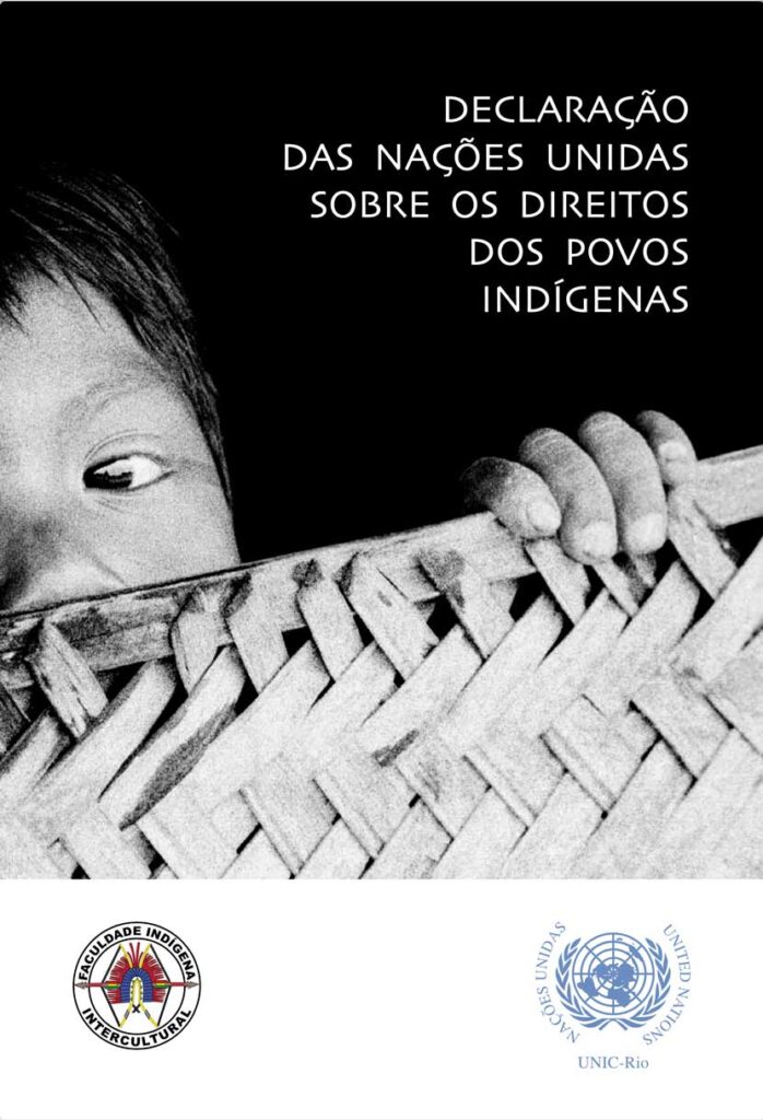 Declaração das Nações Unidas sobre os Direitos dos Povos Indígenas ...