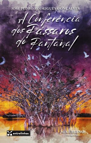 A Conferência dos Pássaros do Pantanal
